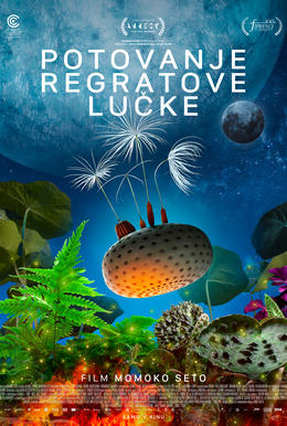Potovanje regratove lučke