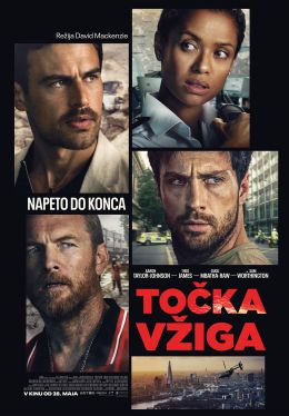 Točka vžiga